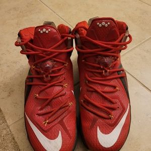 LeBron 12s
